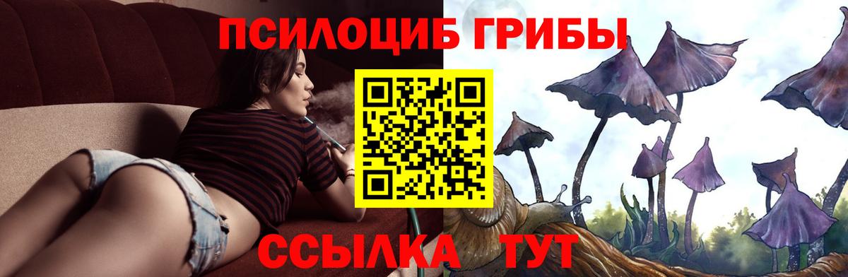Псилоцибиновые грибы Magic Shrooms  купить закладку  Вход с VPN  Валуйки  Псилоцибиновые грибы прущие грибы 